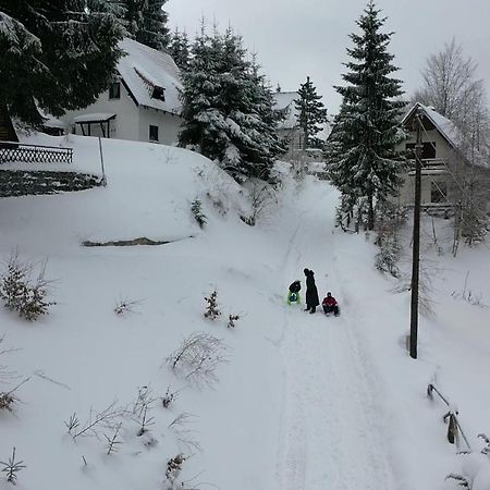 Vila Leni Kopaonik Exterior foto